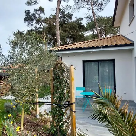 וילה Des Pins - 10 Pers - 5 - Piscine Chauffee - Climatisation - A 5 Min לבן